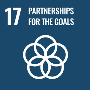 UN Sustainable Development Goal - Partnerships